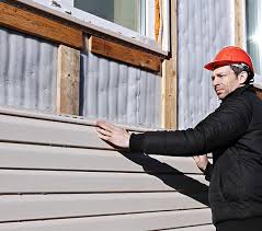 Best Custom Trim and Detailing for Siding  in Okeechobee, FL